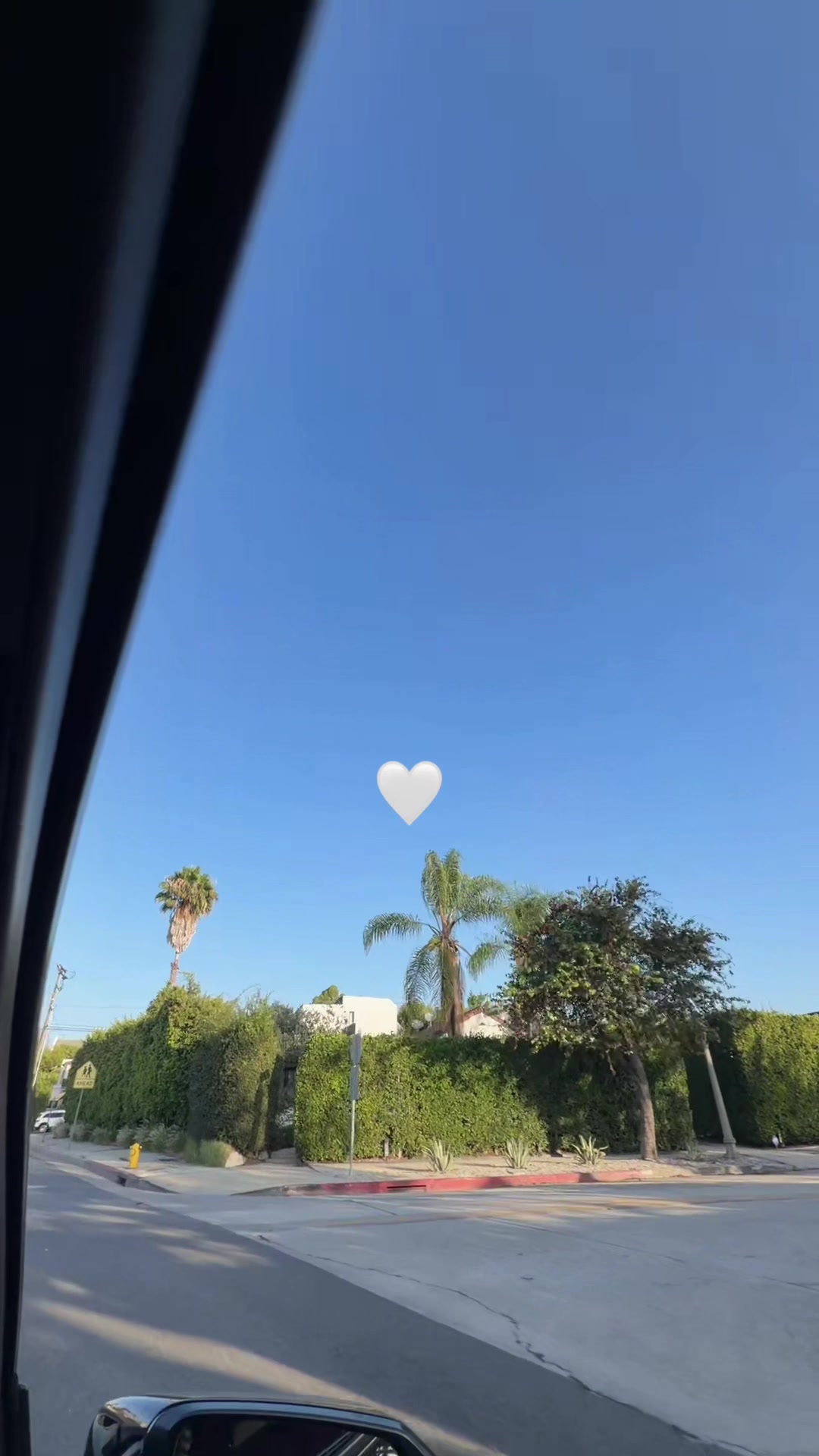 @💛PAO OFICIAL🍣💙🇬🇹🇲🇽🔟🤴