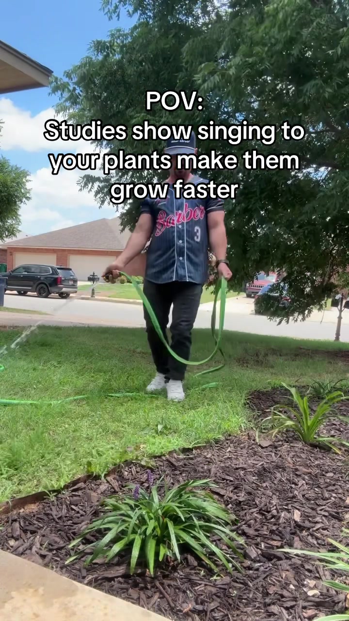 @n3mo