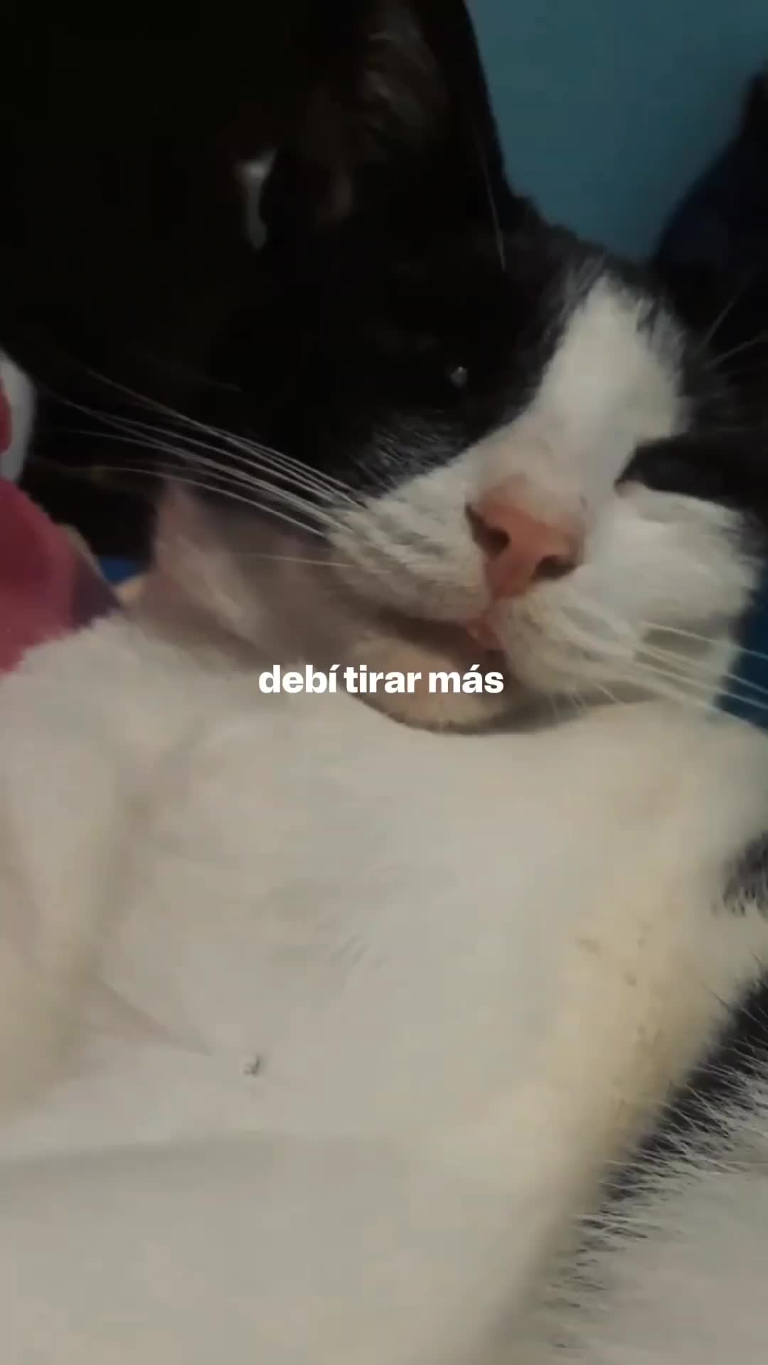 @nani