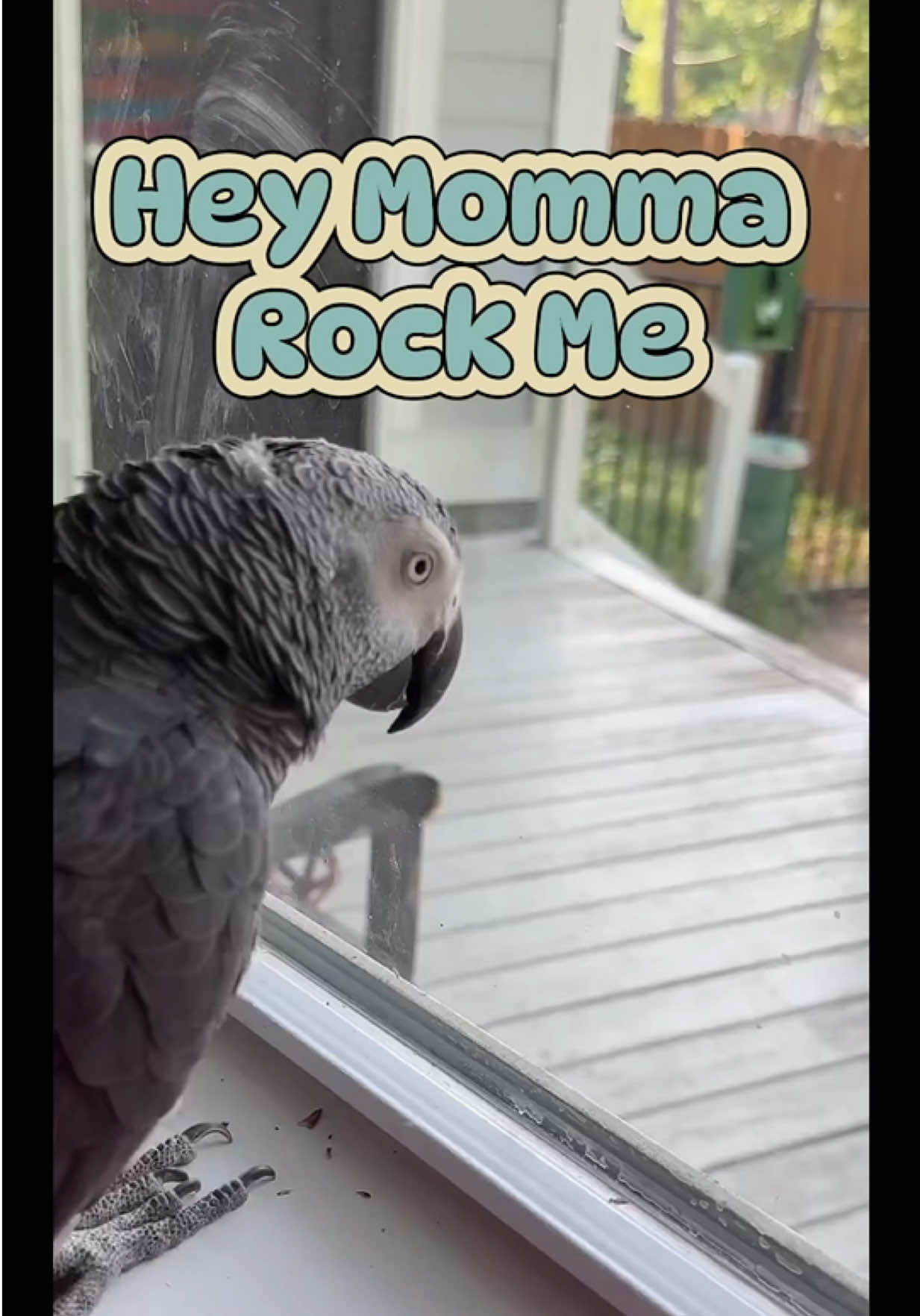 @thehinzoo