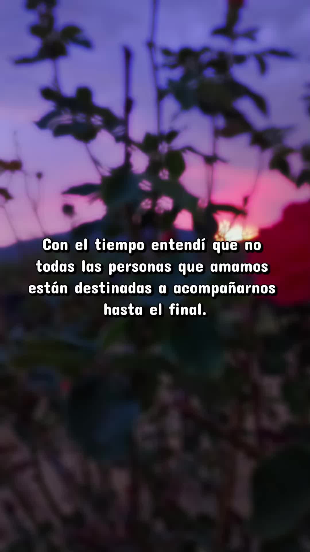 @Elianet ✨ mensajes