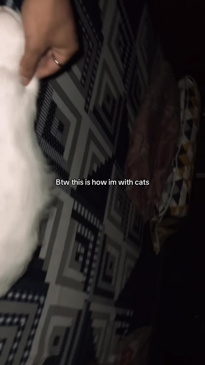 @عباسی