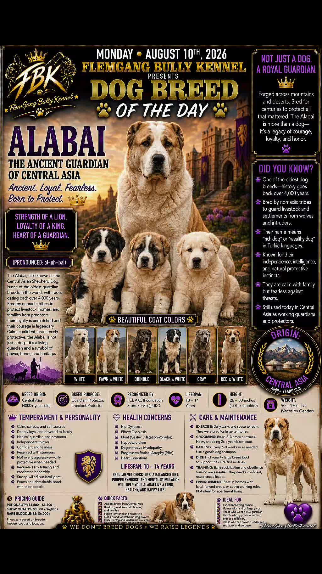 @Flemgang Bully Kennel👑🐾💜✨
