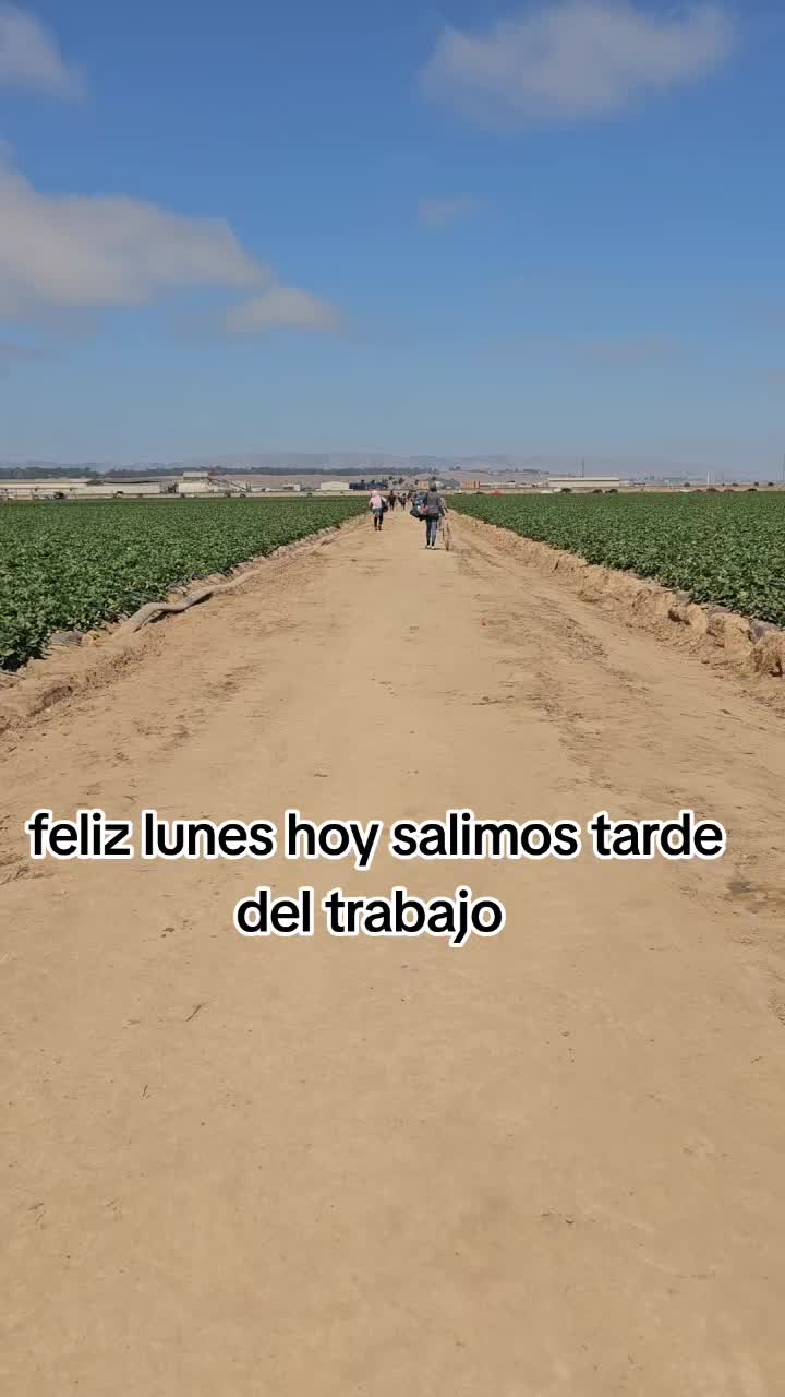 @🇲🇽🐦&zwj;⬛🪺VASQUEZ🚚🌪💎