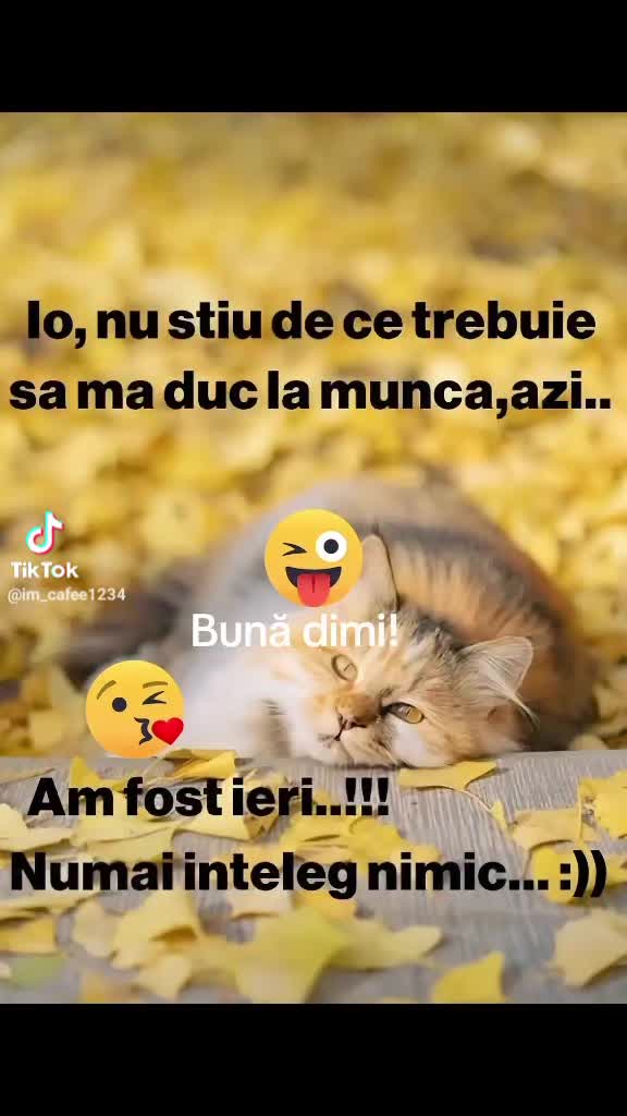 @🦅💜MIKY 💜S💜R💜C 💜💜💜