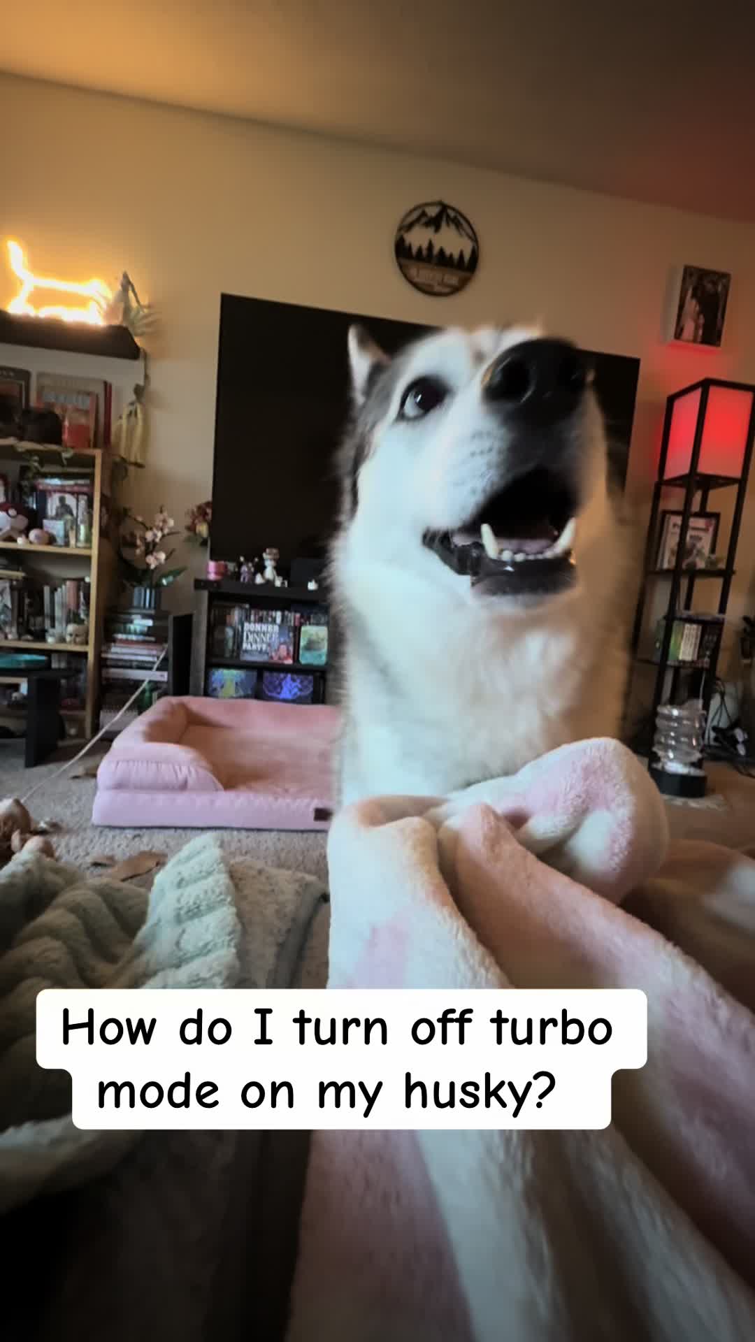 @sithlady