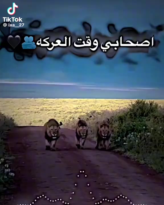 @محمد خلف