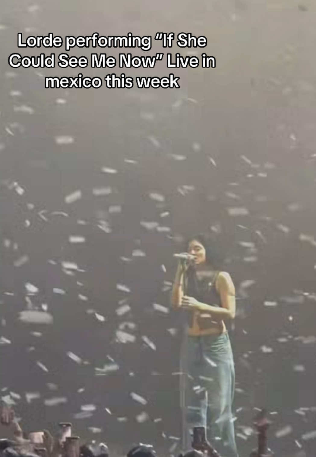 @Lorde Fanpage