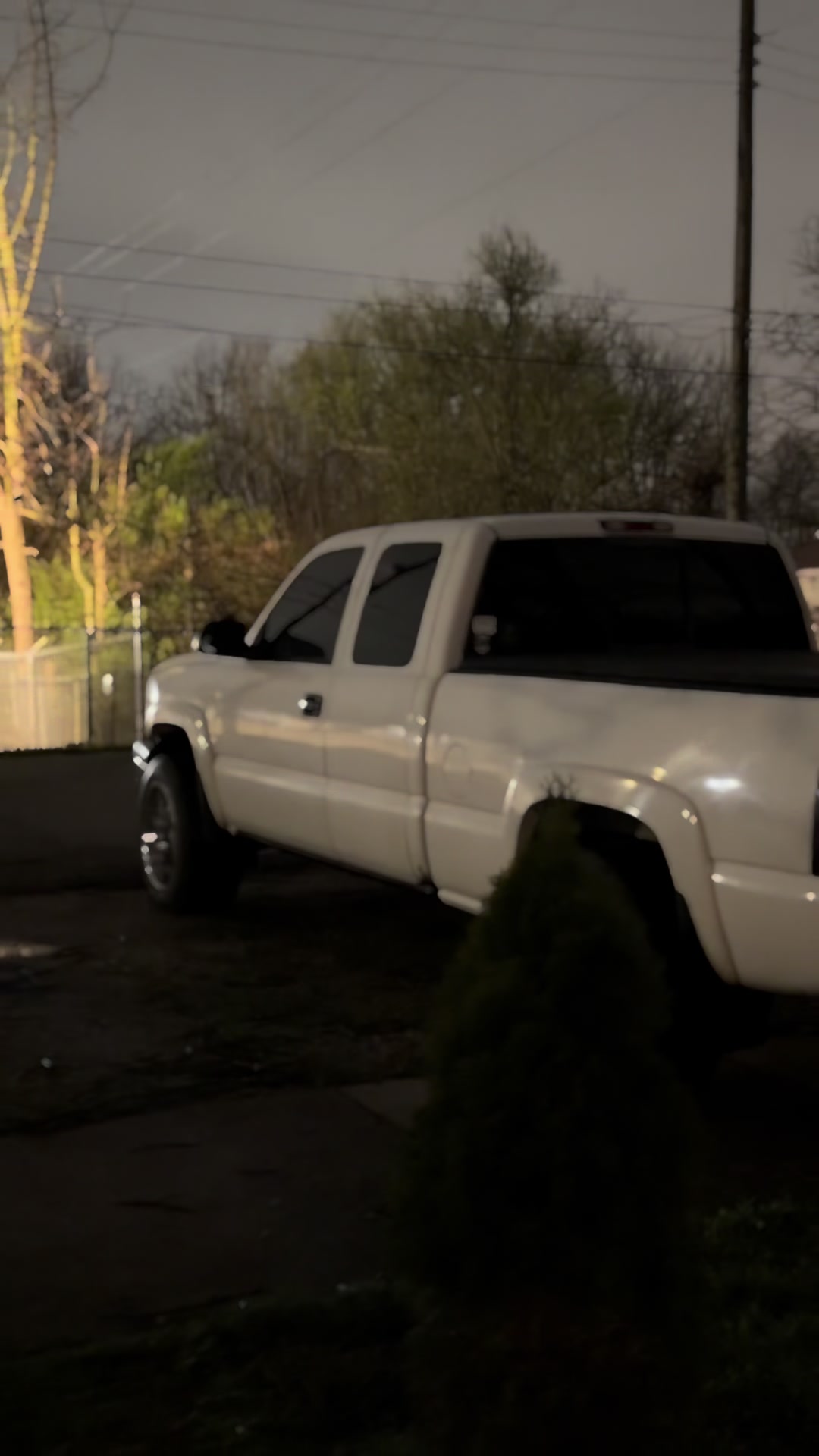 @M🐅⚡️