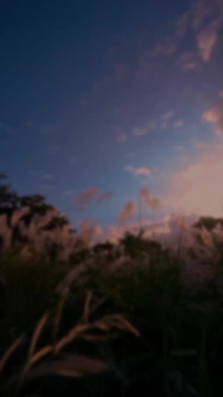 @🦋Aesthetic🦋