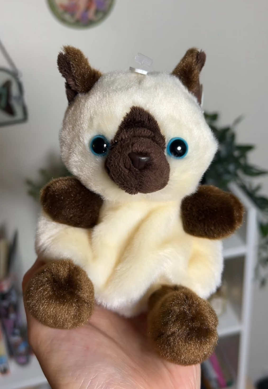 @toffee.cakes