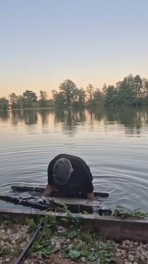 @scaley waters