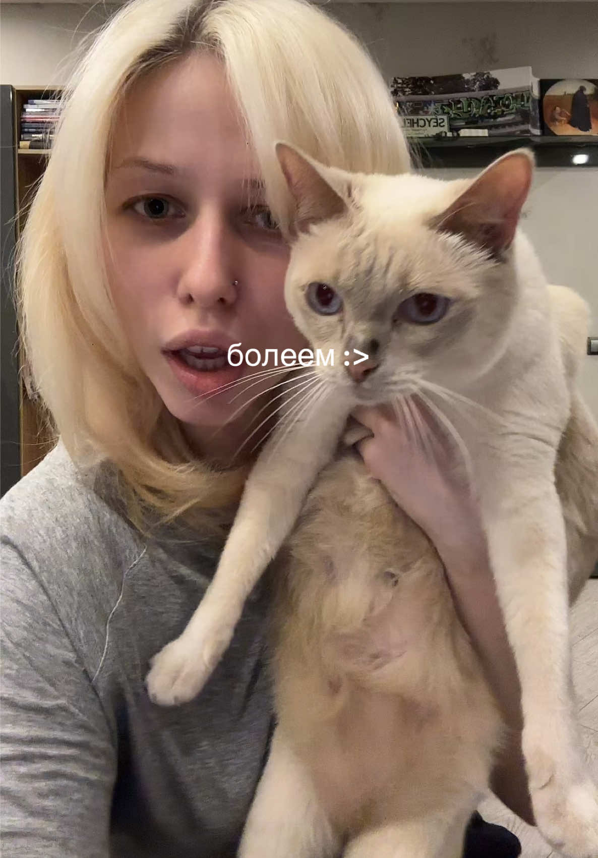@virginlolita
