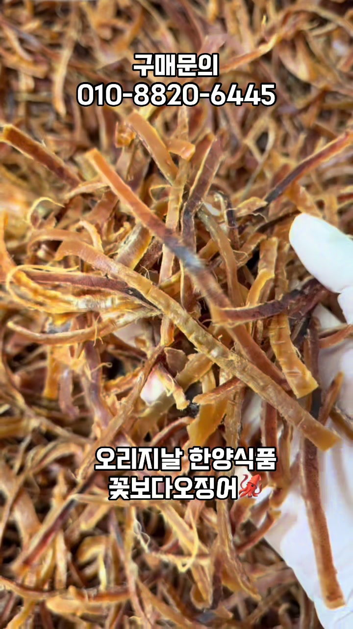 @숭사장건어물(숭사장오징어)🦑