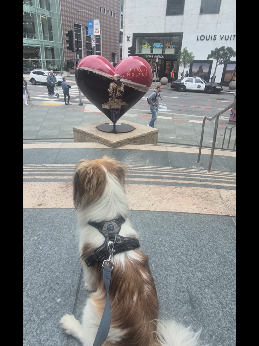 @dailydogquotes