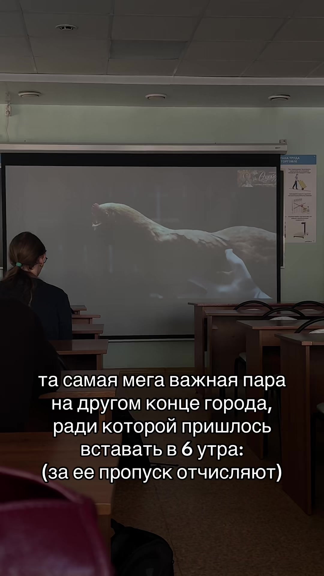 @алиса блэйз