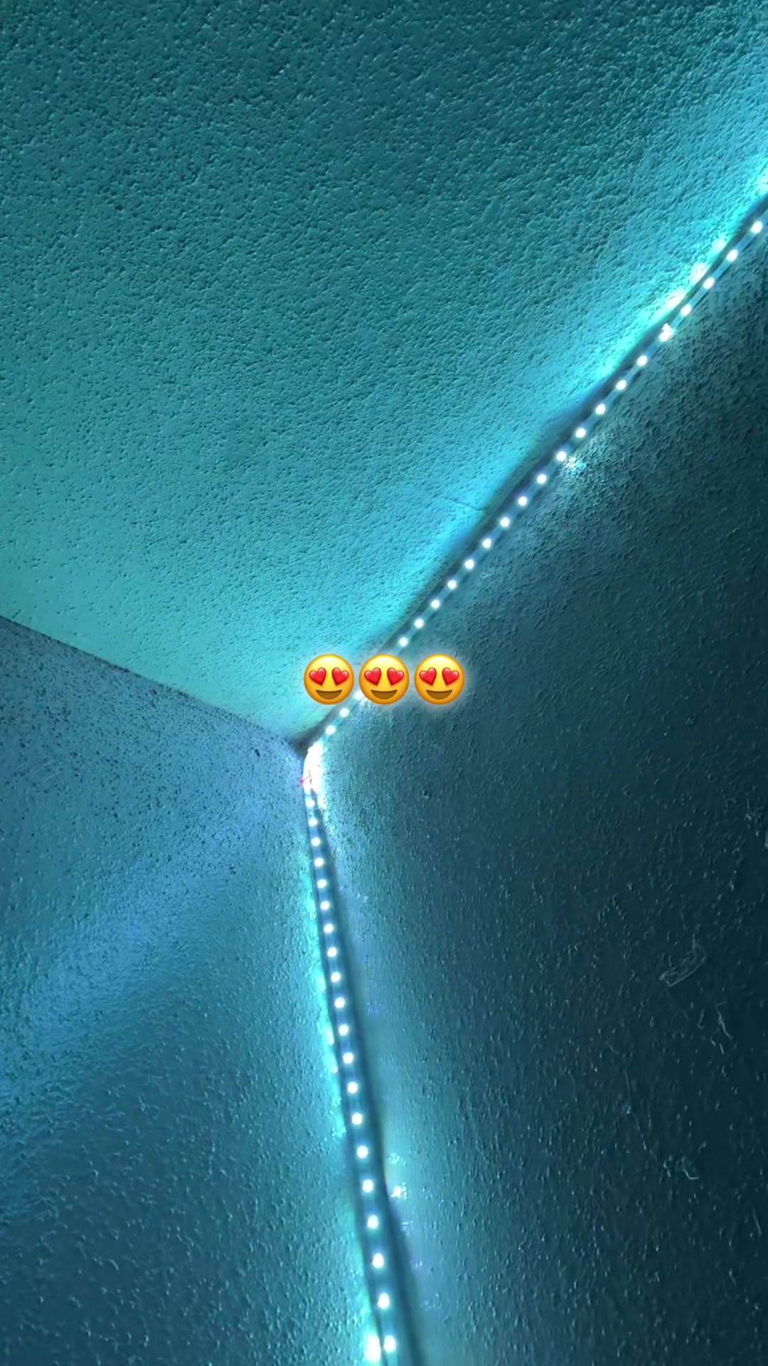 @Adriana🧔🏻♀️🐾