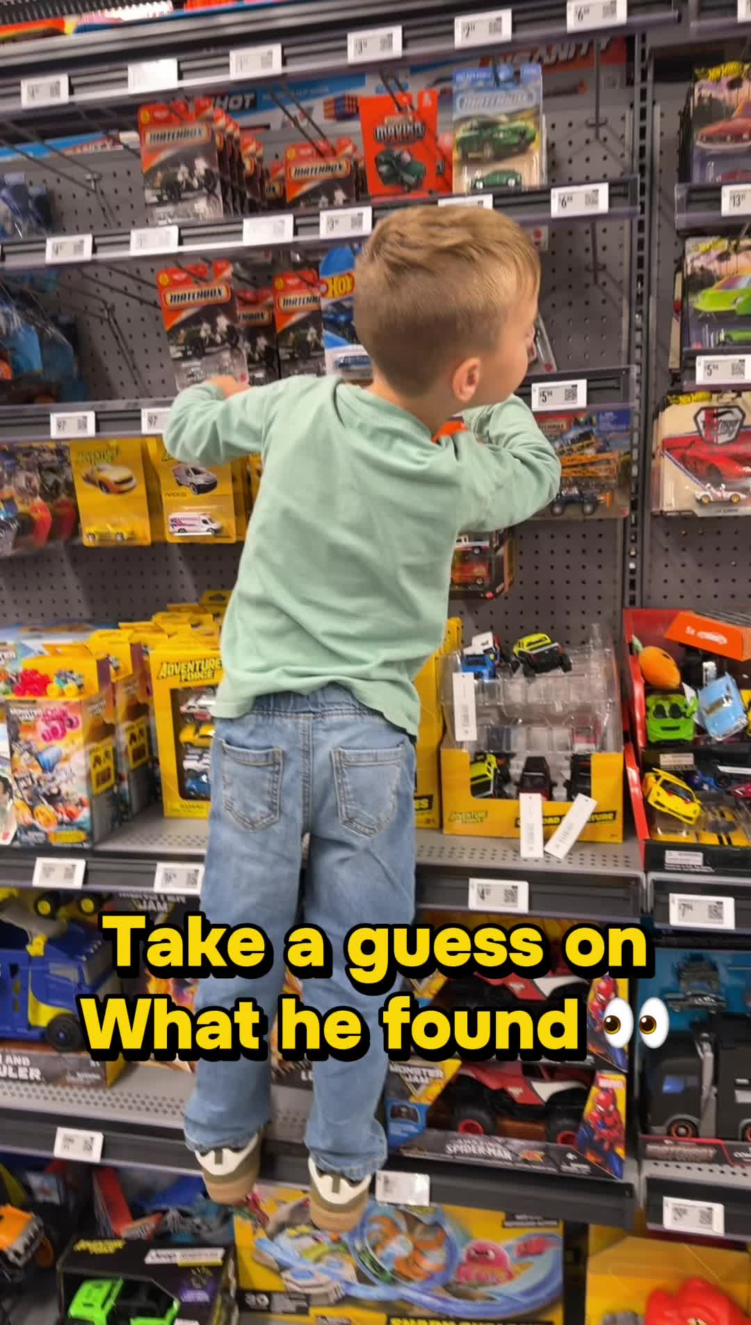@✨Beerus✨