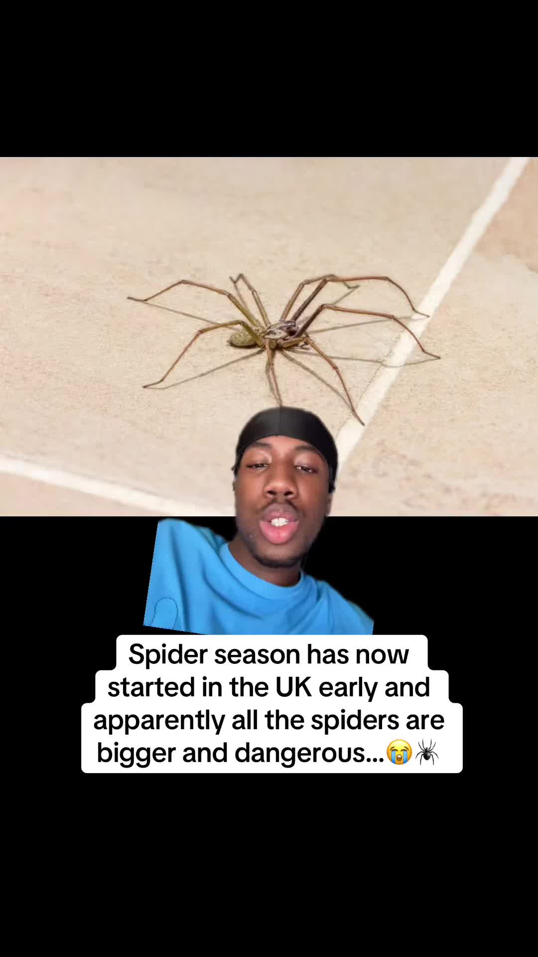 @King of the UK 🇬🇧