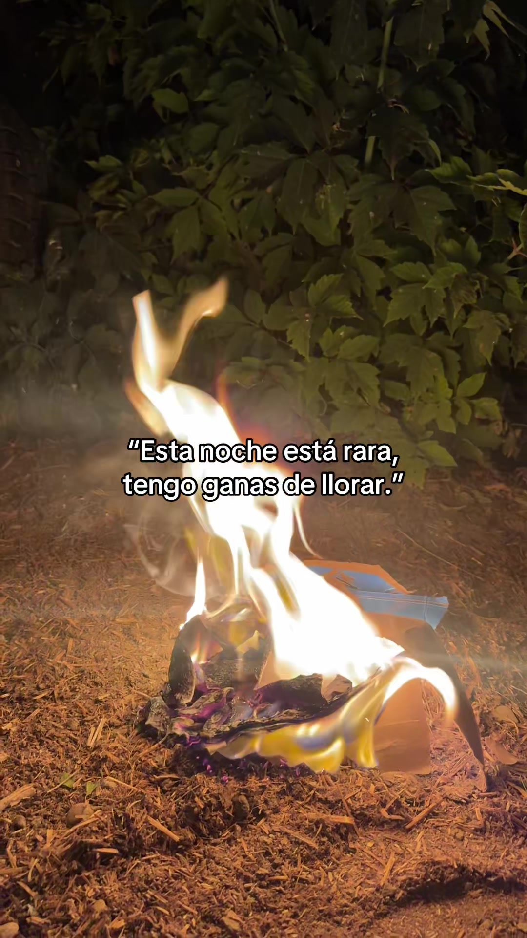 @Frases Chingonas 💫