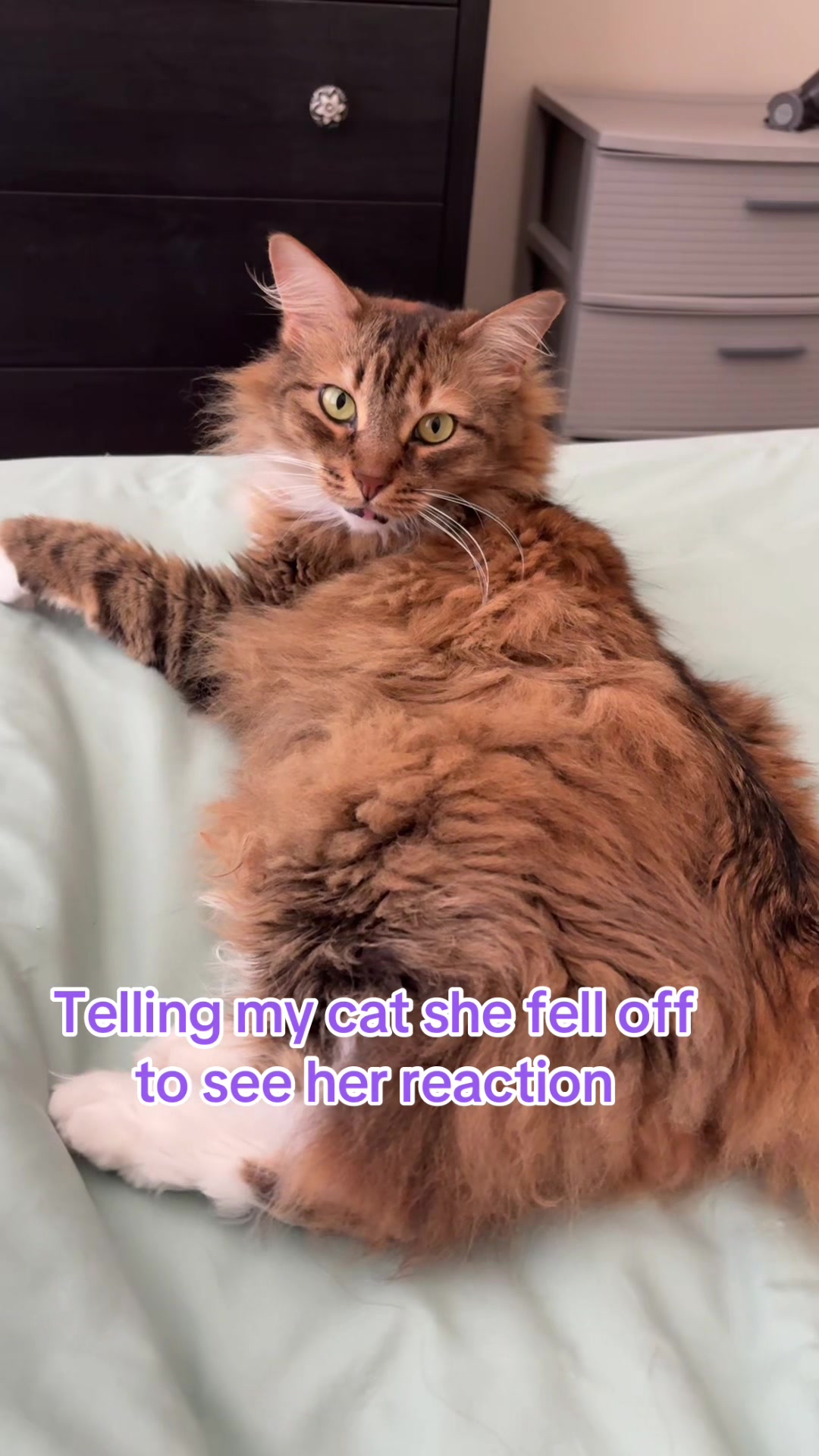 @Dani