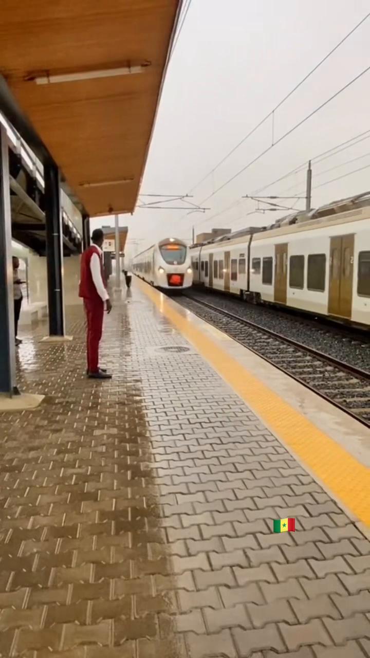 @Sénégal rek