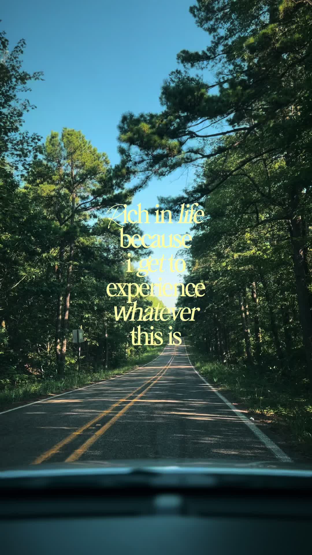 @KathyAnnn🏜️🧠🌻🌲