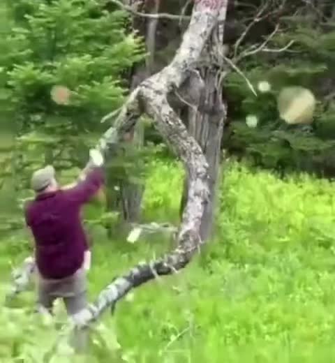 @derouchiechris