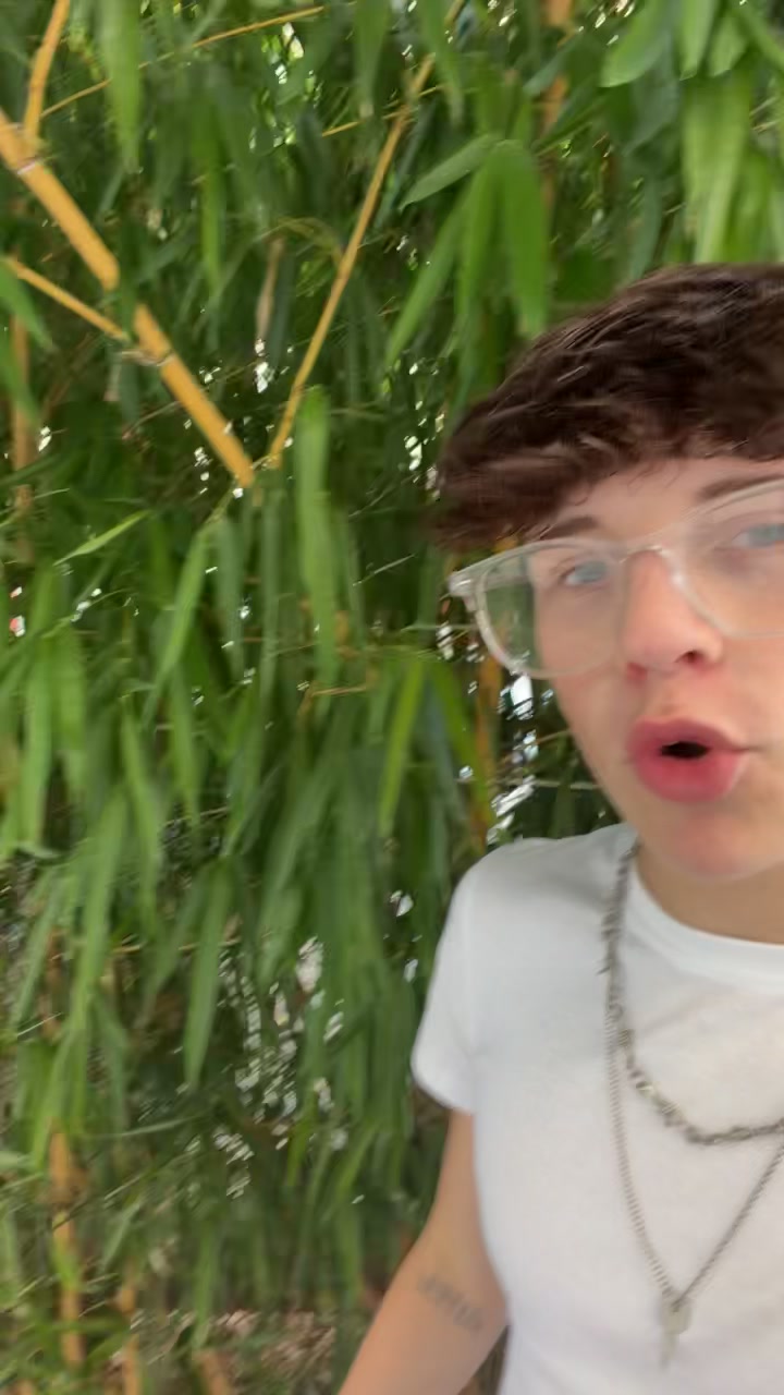 @Fynnix42🌀