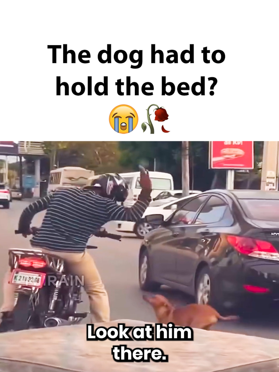 @MiiRain