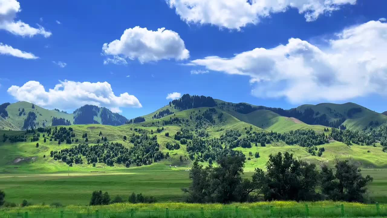 @艾米
