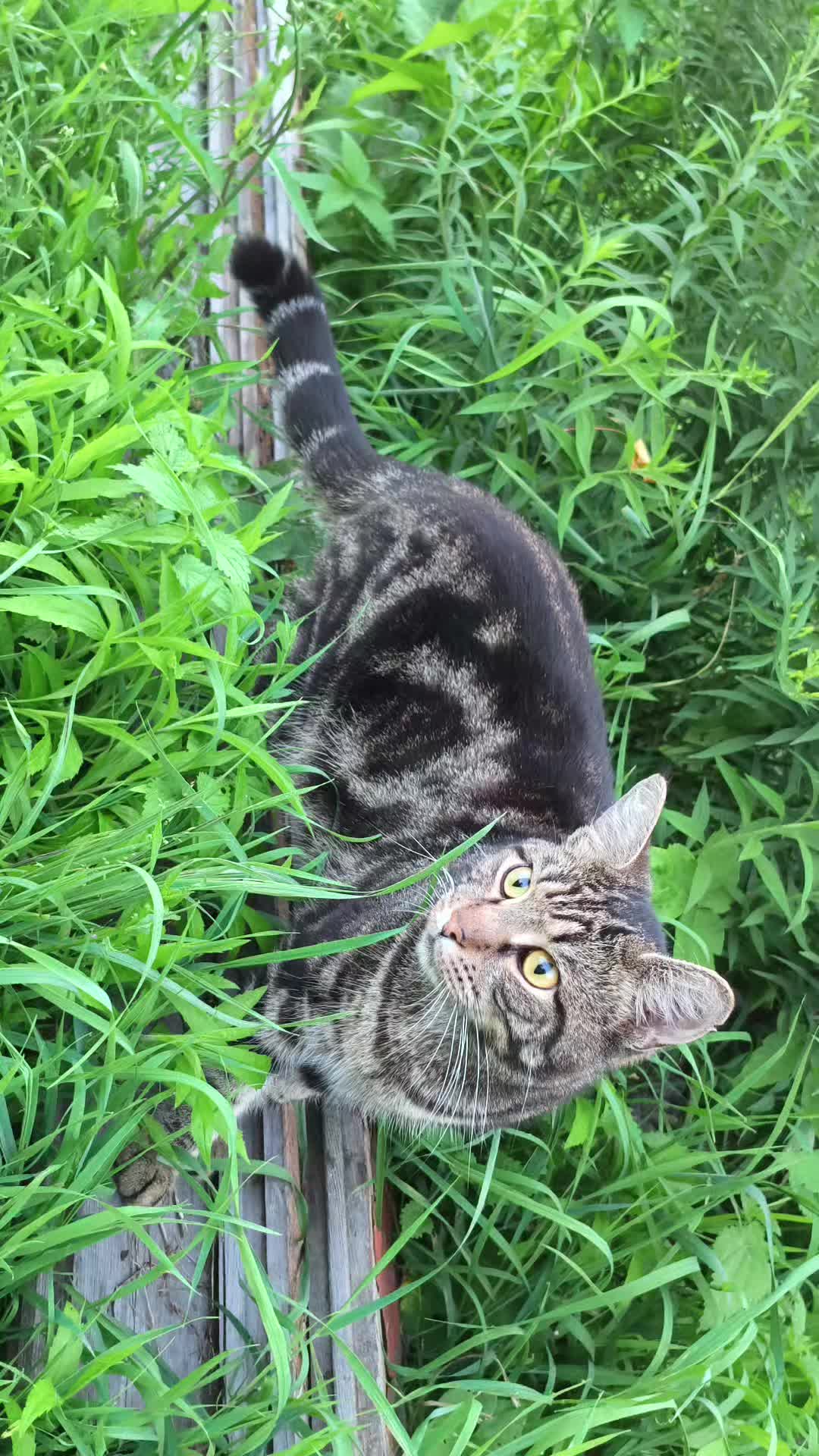 @Ольга🌷
