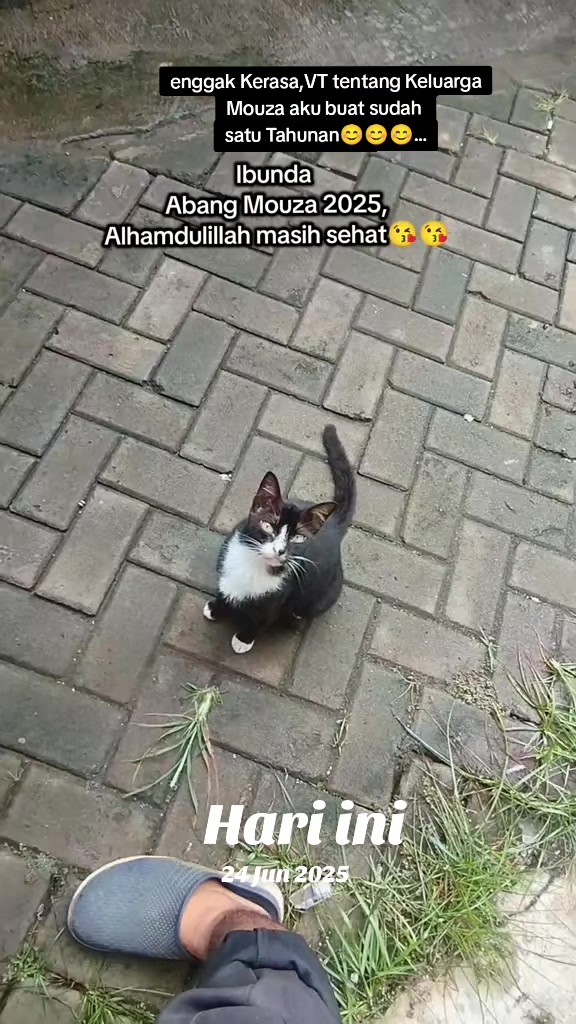 @Shanshan Ngapruk