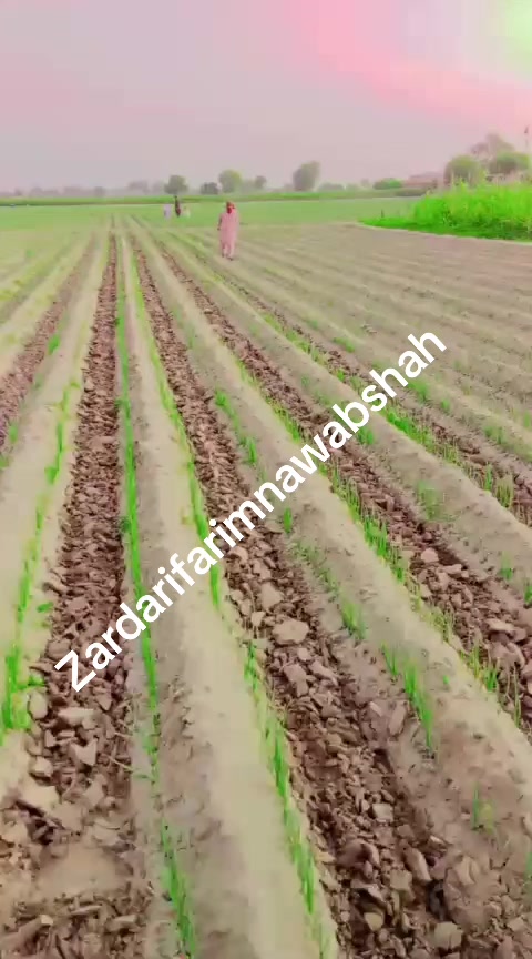 @sabir Hussain Zardari 110