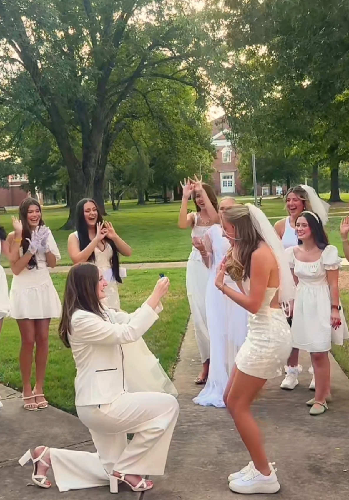 @ZTA THETA THETA