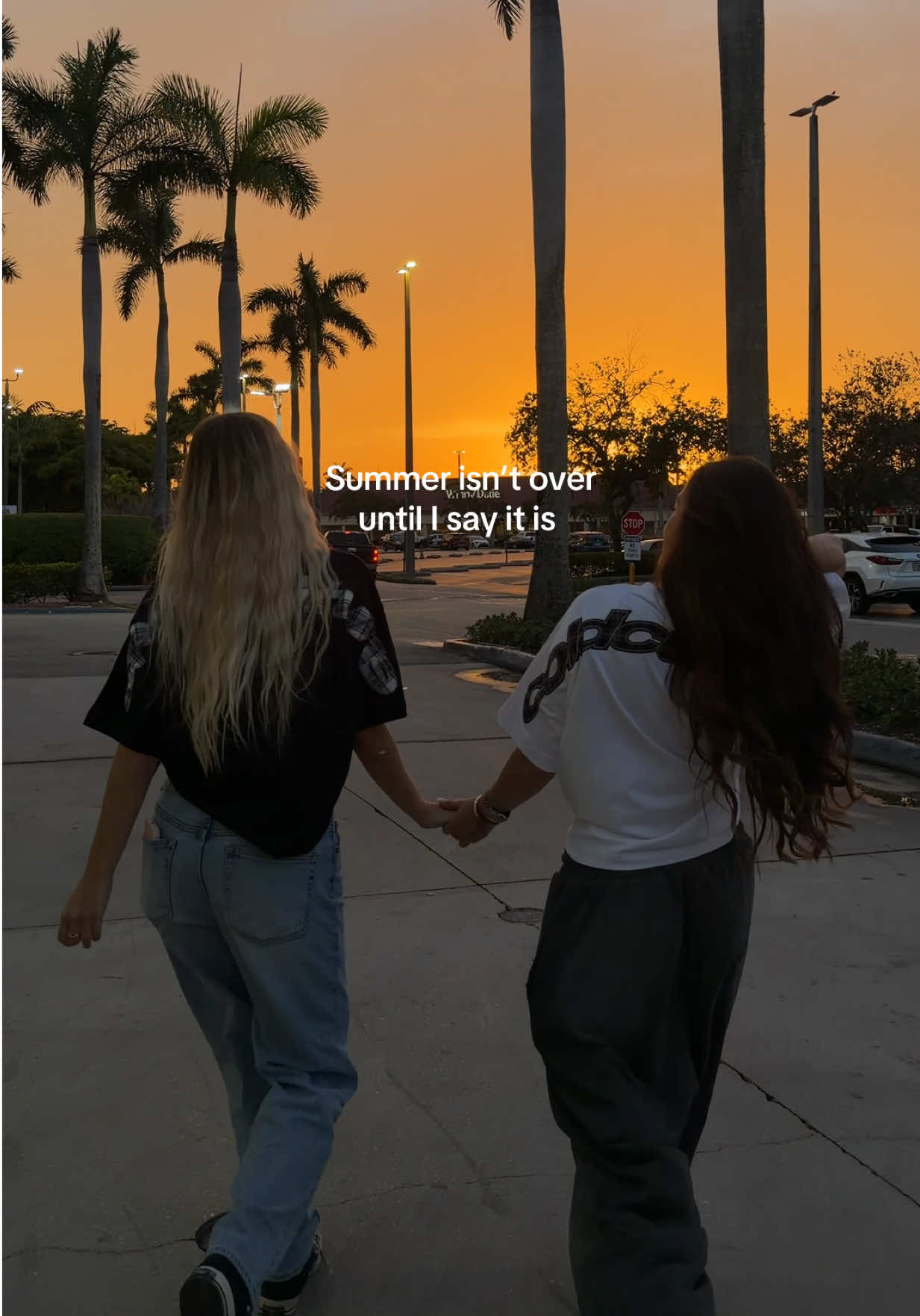 @ELVEE