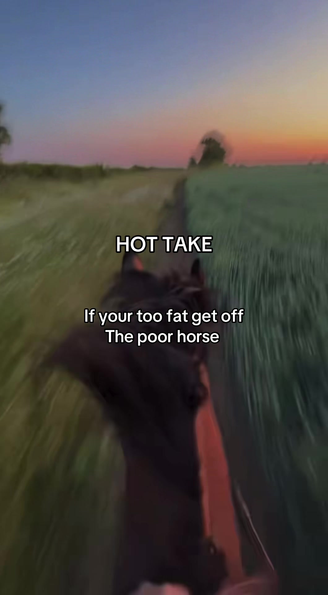 @🪶ℋ𝒶𝓁ℯ𝓎🪶