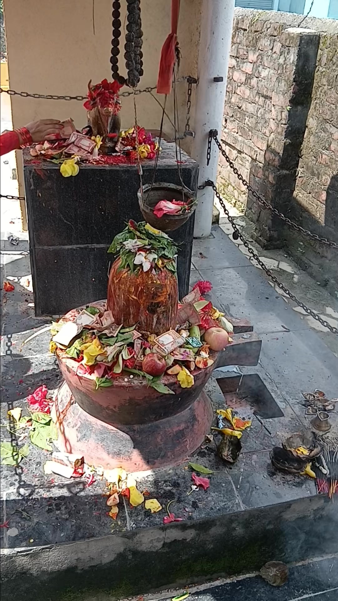 @Tara Pokhrel