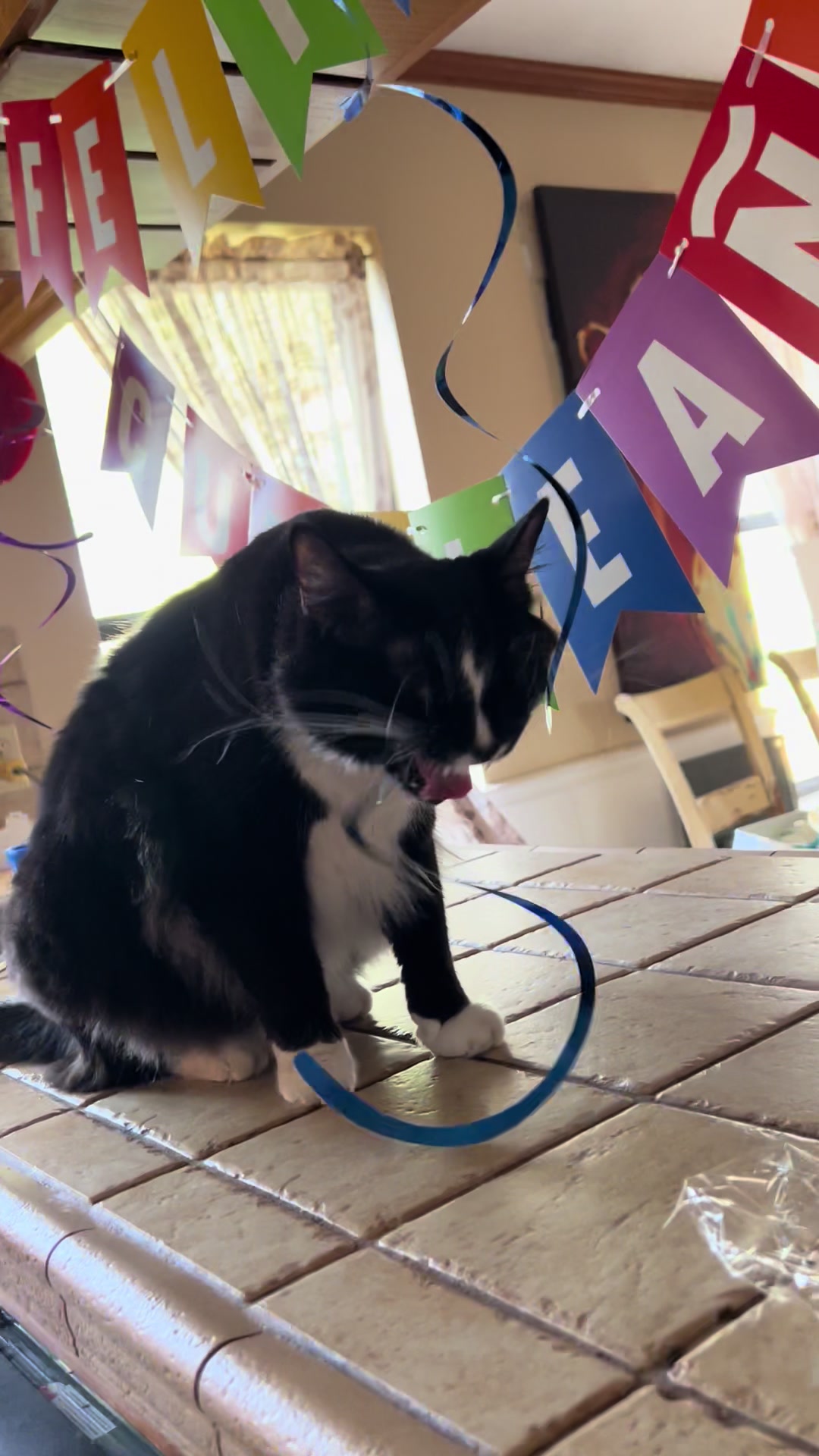 @presleythetuxie