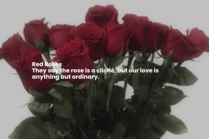 @🌸│NINIX &middot;🌷│
