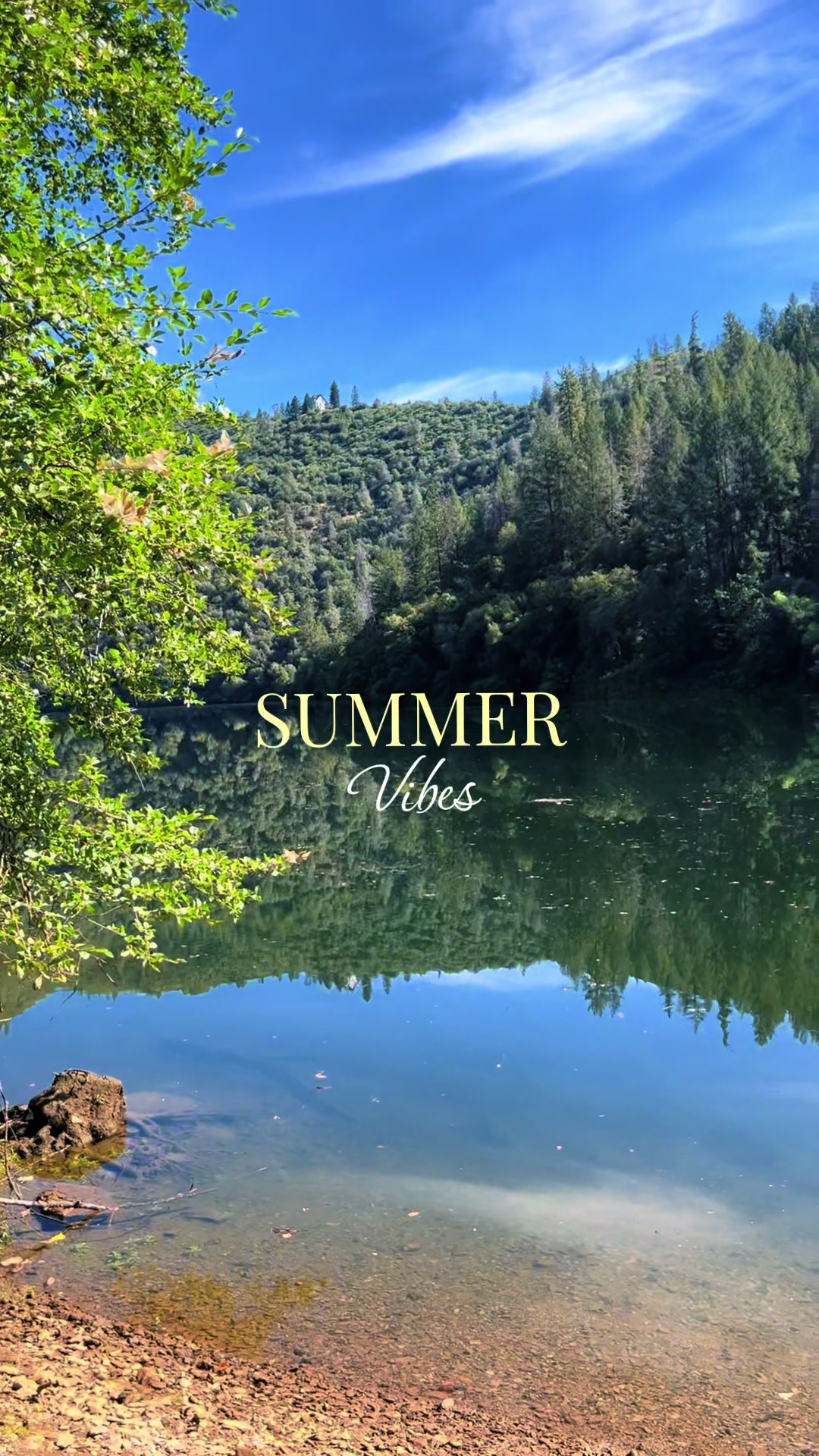@nic 💚 sierra foothills