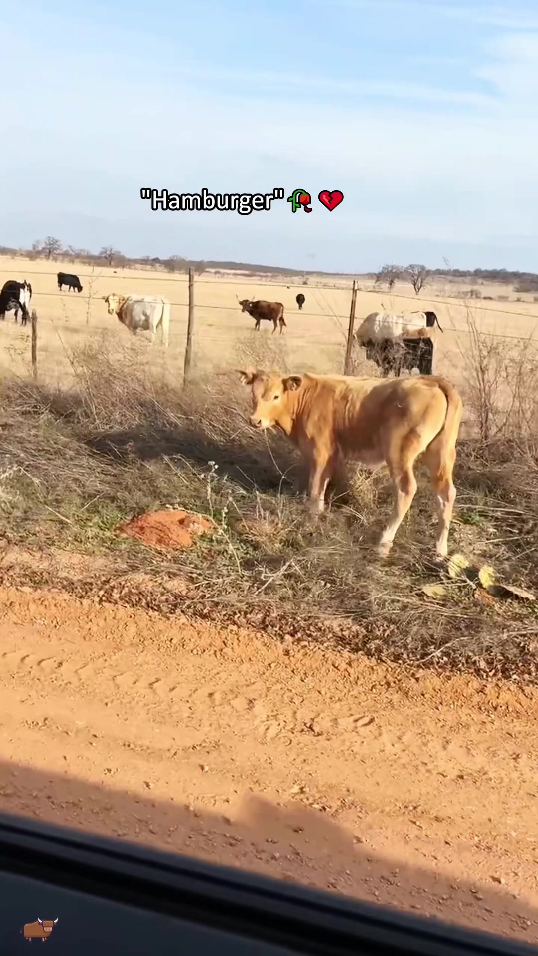 @SneakyFails