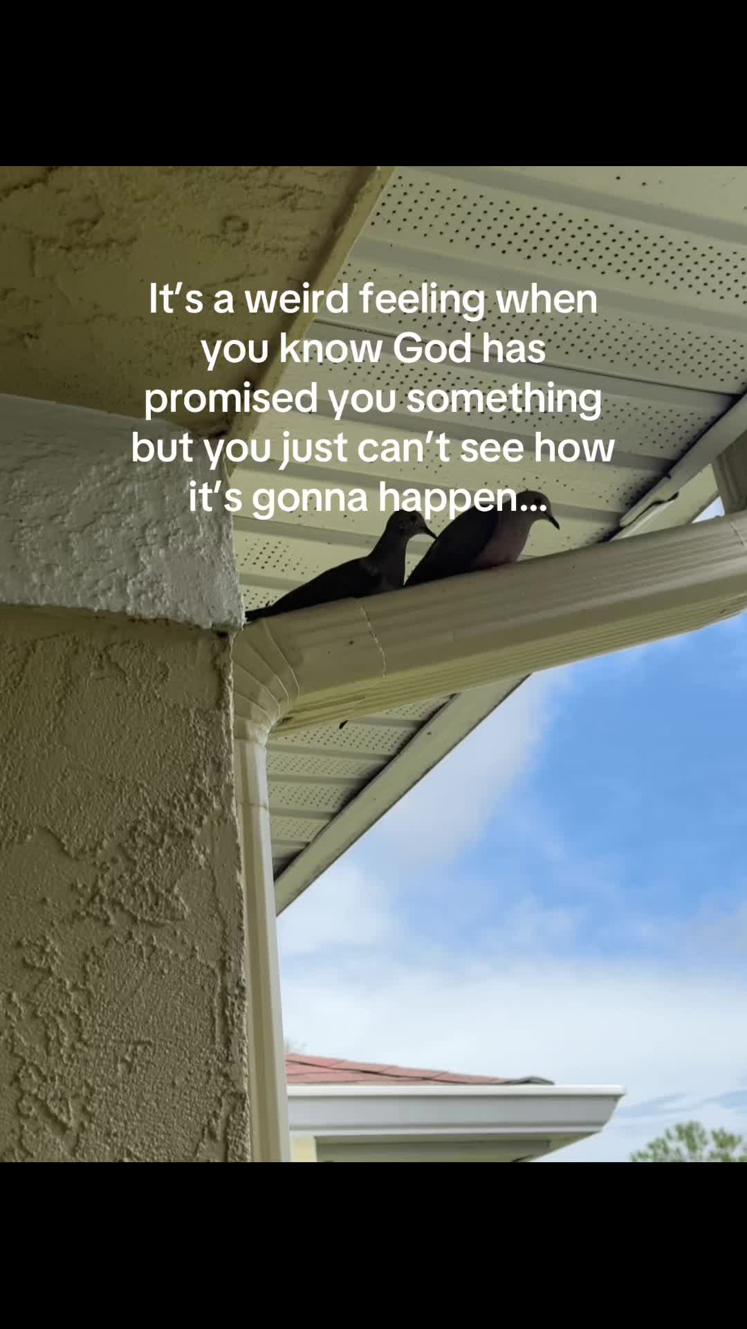 @𝒦𝑒 ❀ ✝️✨