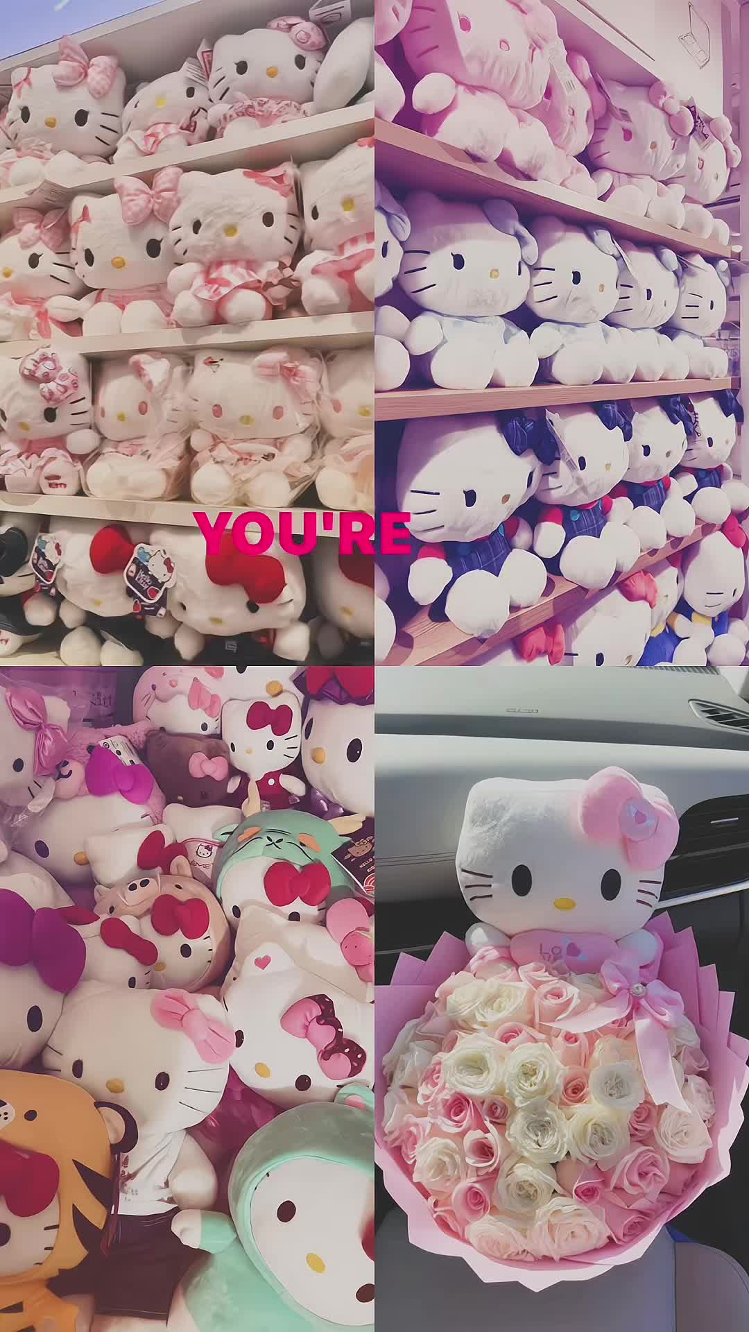 @๐ฉ๐พ๐ธ๐๐๐๐ธ๐ปแฅซแญก