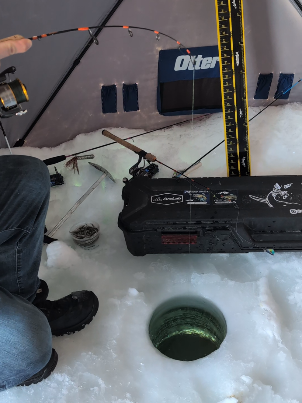 @rippinlips0