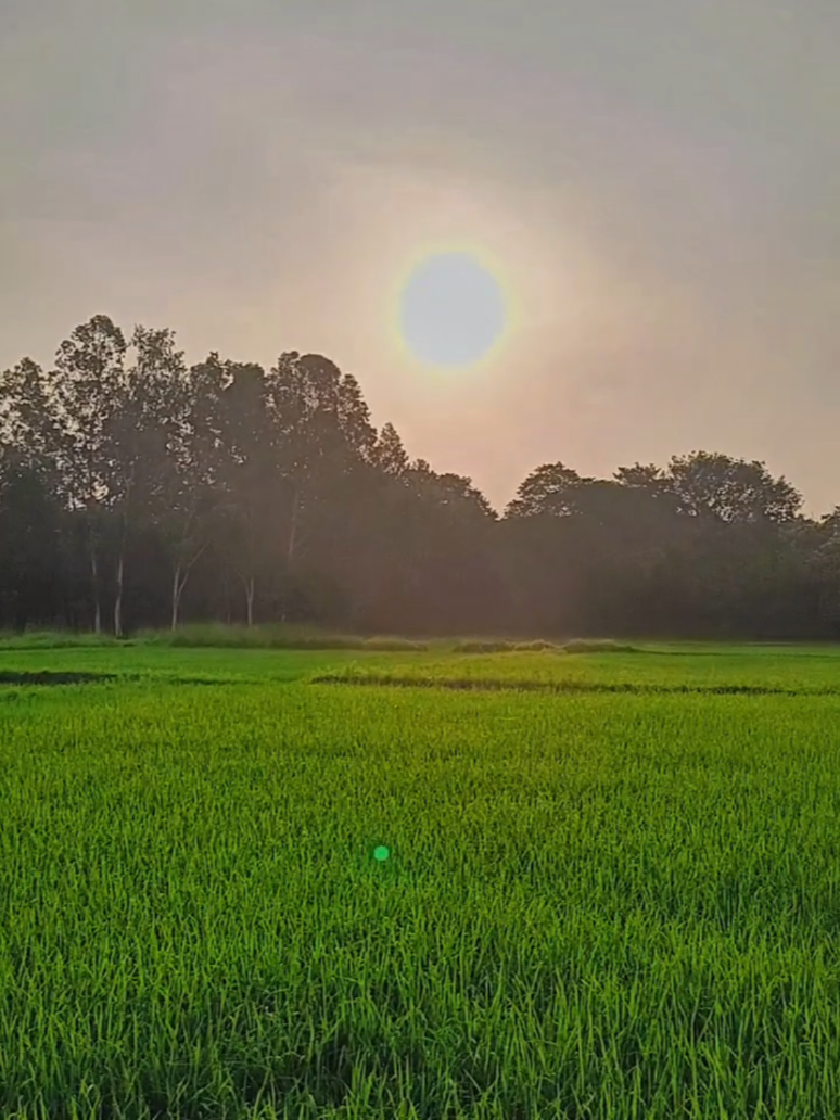 @🚩श्री राम जी के भक्त 🚩
