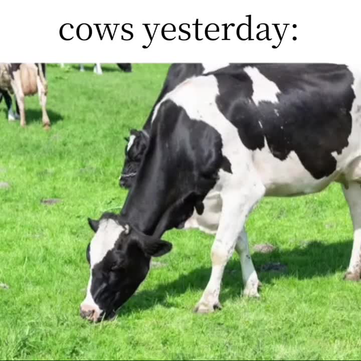 @𝓒𝓾𝓻𝓿𝔂𝓓𝓮𝓿𝓲𝓵🖤