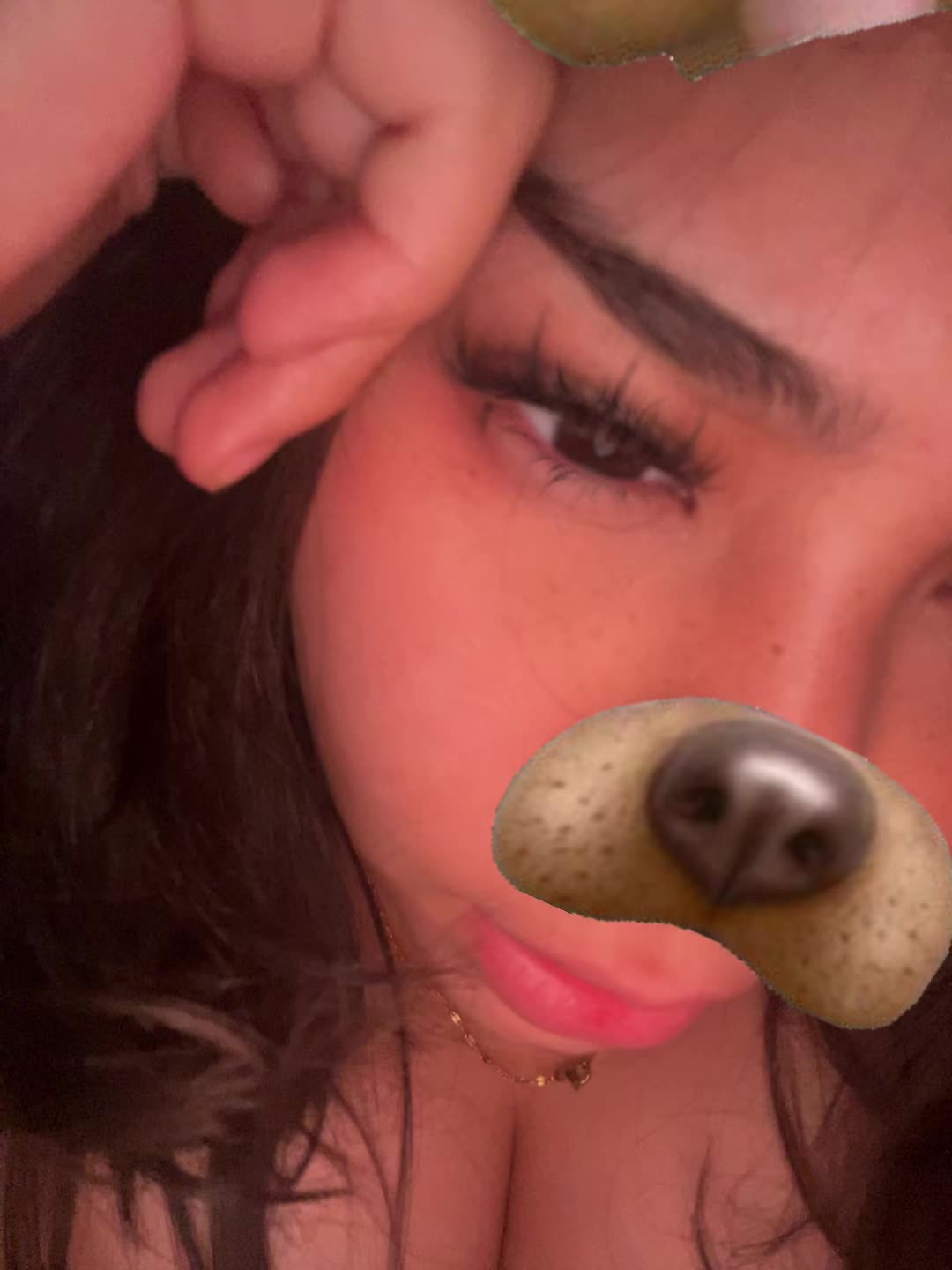 @angeli