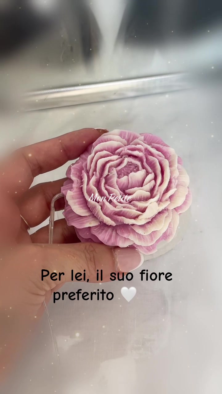 @Mon Petite 🌸