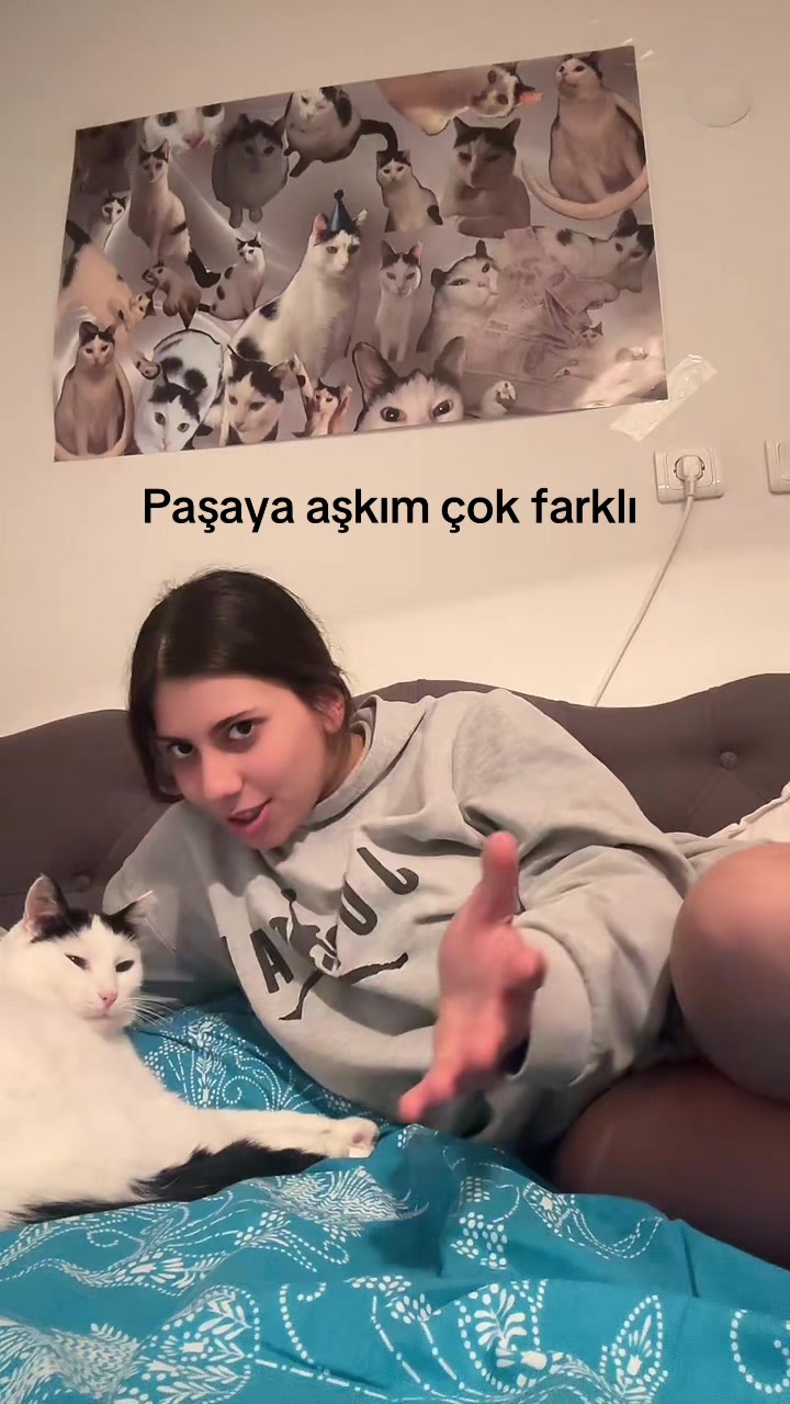@zeyneepnuro